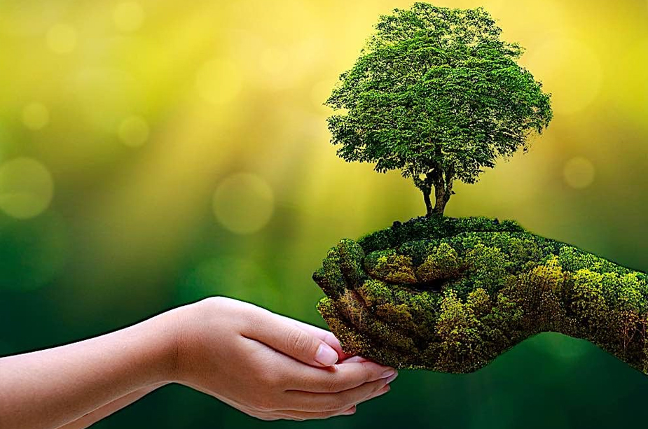 Sustainability and Quality: Hand in Hand