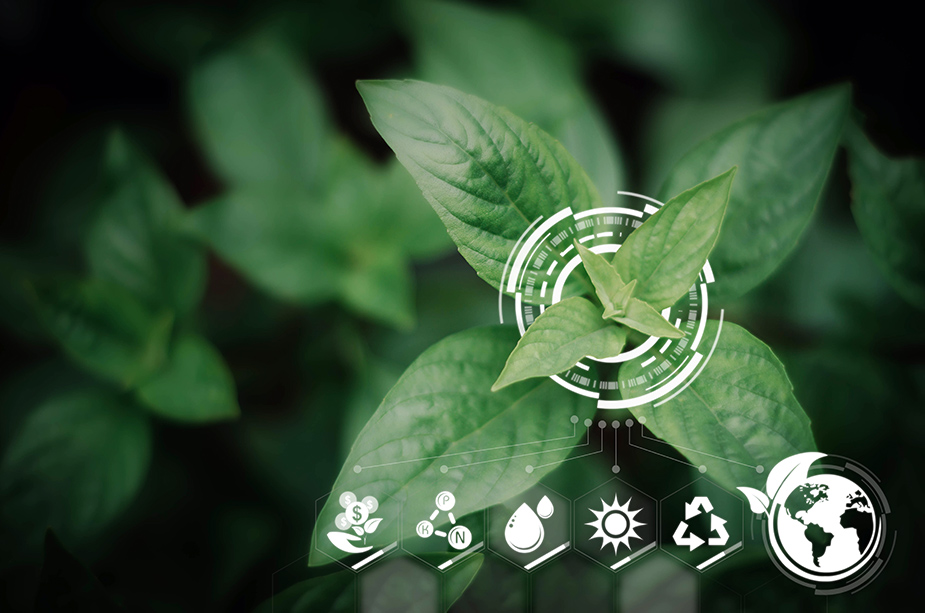 Why Sustainability Matters